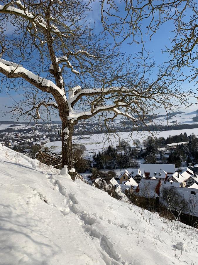 Wohlfuehl Appartments Felsberg Exteriör bild